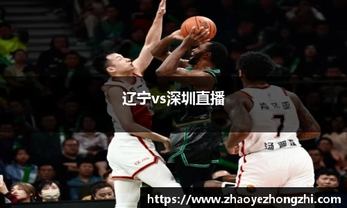辽宁vs深圳直播