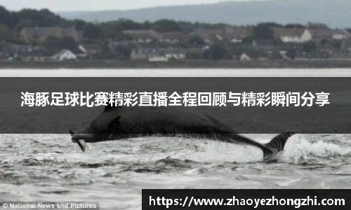 海豚足球比赛精彩直播全程回顾与精彩瞬间分享