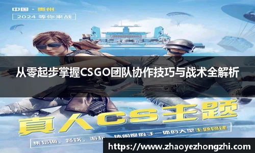 从零起步掌握CSGO团队协作技巧与战术全解析